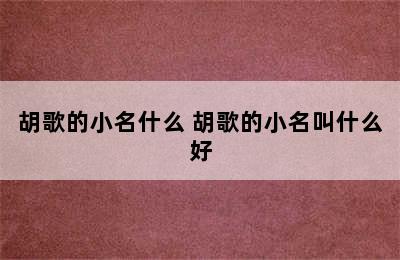 胡歌的小名什么 胡歌的小名叫什么好